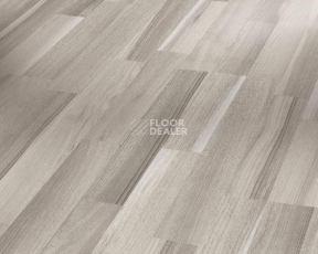 Ламинат Parador Basic Plus 200 1426414 Акация Серая фото 1 | FLOORDEALER